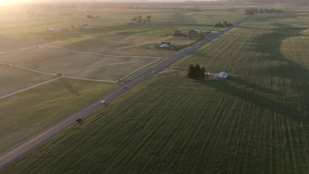 Morning light over open fields and a rural road corridor.